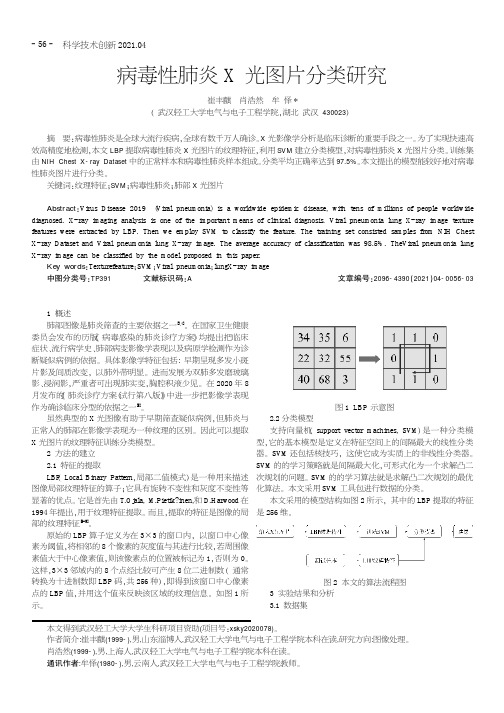 病毒性肺炎X光图片分类研究