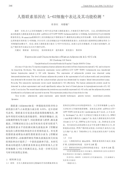 人脂联素基因在L_02细胞中表达及其功能检测