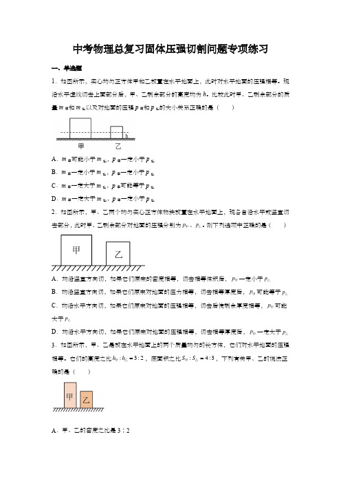 中考物理总复习固体压强切割问题专项练习(有答案)