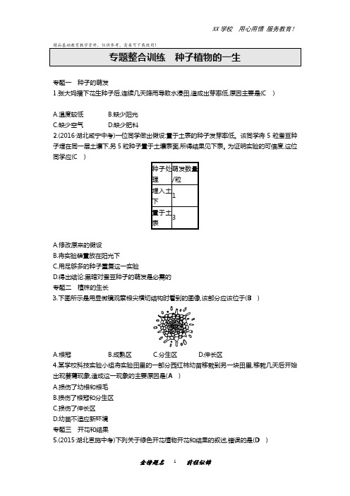 人教版七年级上册生物专题整合训练题种子植物的一生