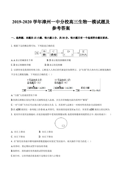 2019-2020学年漳州一中分校高三生物一模试题及参考答案