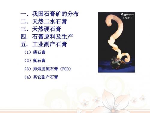 专题四工业废石膏的利用