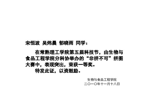 荣誉证书模板