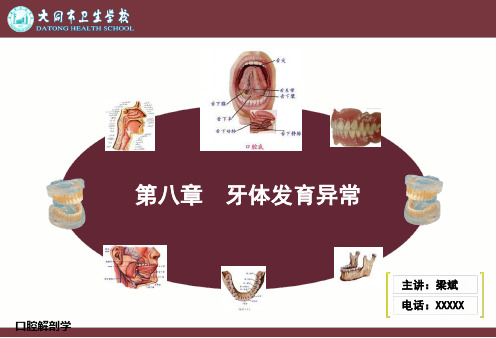 牙体发育异常PPT课件