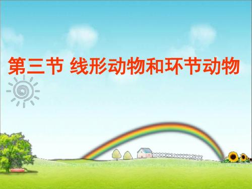 2016-2017年新人教版初二年级生物上册八年级生物上册《第一章_第二节_线形动物和环节动物》PPT课件