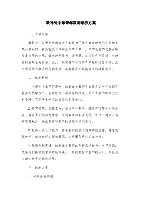 教导处中学青年教师培养方案