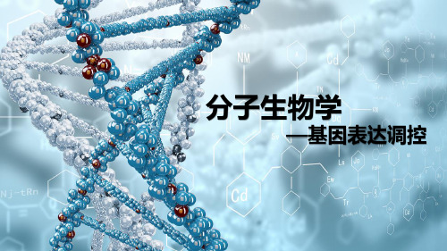 分子生物学-基因表达调控