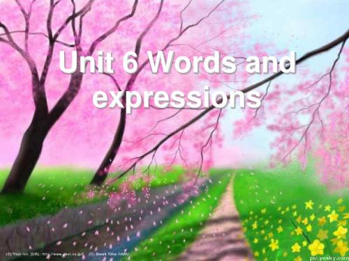 高二英语words-and-expressions(201908)