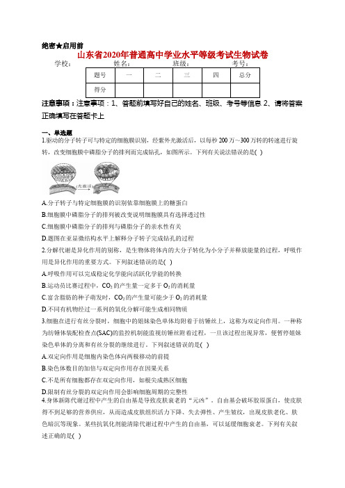 山东省2020年普通高中学业水平等级考试生物试卷