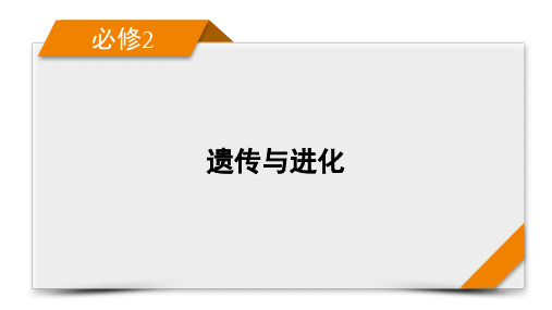 第7单元第3讲生物的进化-备战2024年高考生物一轮复习精优课件