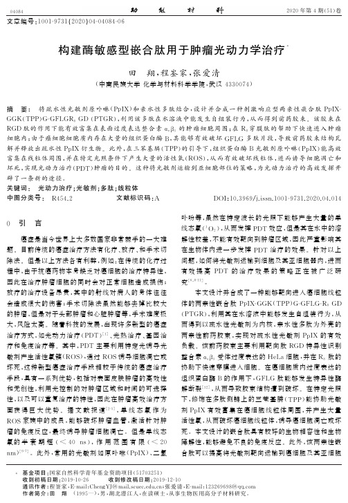 构建酶敏感型嵌合肽用于肿瘤光动力学治疗