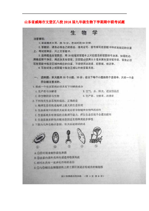 山东省威海市文登区八校九年级生物下学期期中联考试题