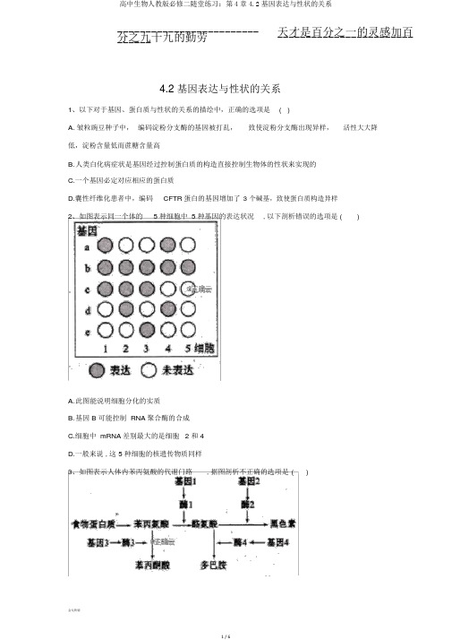 高中生物人教版必修二随堂练习：第4章4.2基因表达与性状的关系