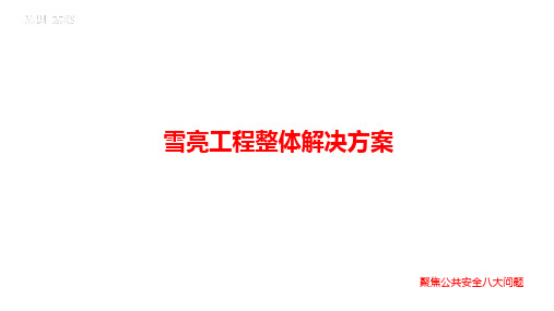 综治公共安全视频监控联网建设