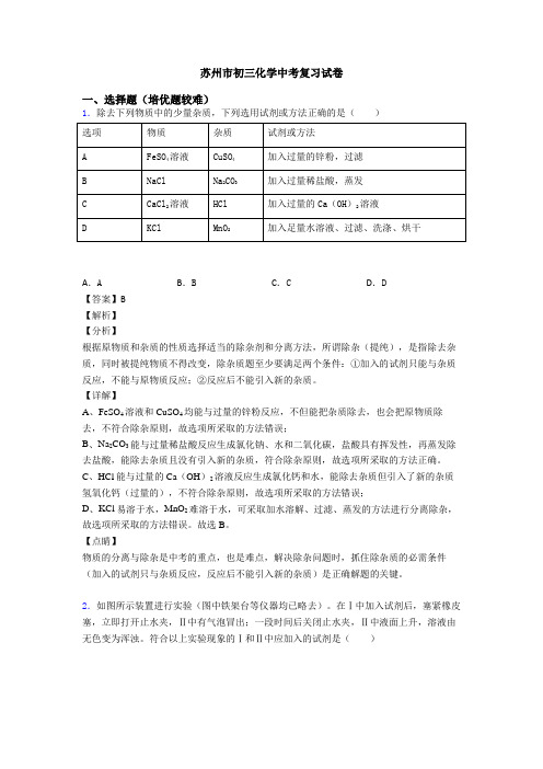 苏州市初三化学中考复习试卷