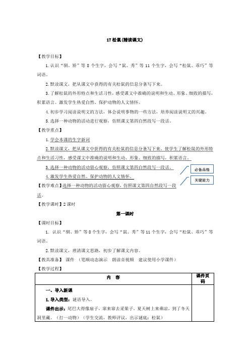 人教部编版五年级上册语文17.松鼠(教案)