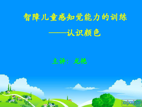 智障儿童感知觉能力的培养——认识颜色