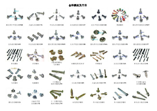 螺钉螺栓选型指导书