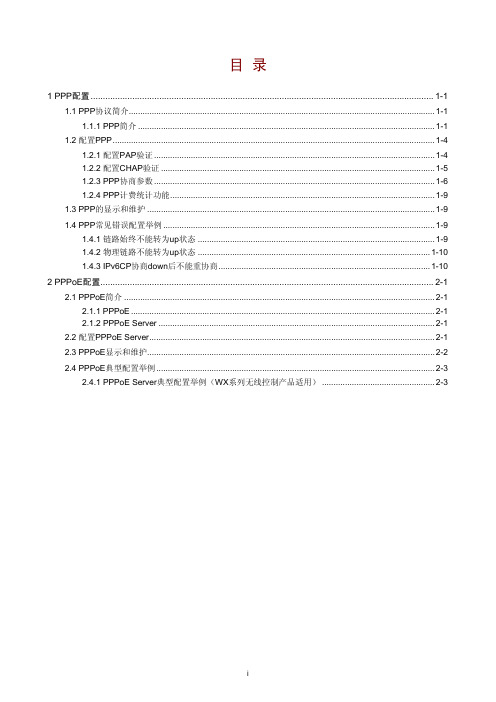 04-PPP配置