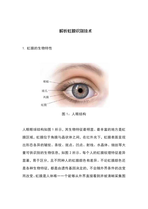 解析虹膜识别技术