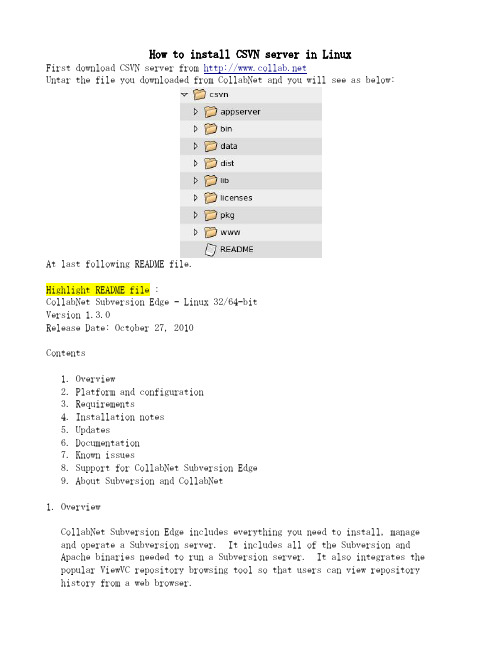 how to install CSVN