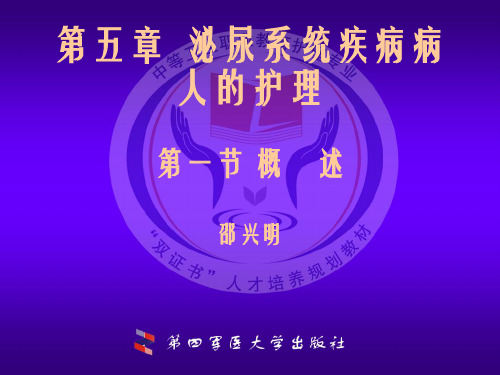 泌尿系统总论