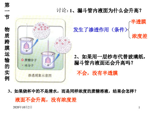 第1节 物质跨膜运输的实例PPT课件