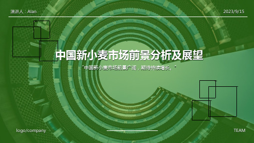 2023年国内新小麦市场走势分析及展望报告模板