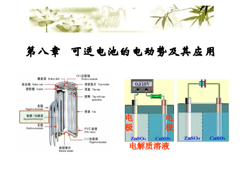 第八章 可逆电池的电动势及其应用.