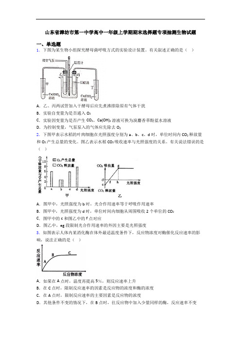 山东省潍坊市第一中学高中一年级上学期期末选择题专项抽测生物试题