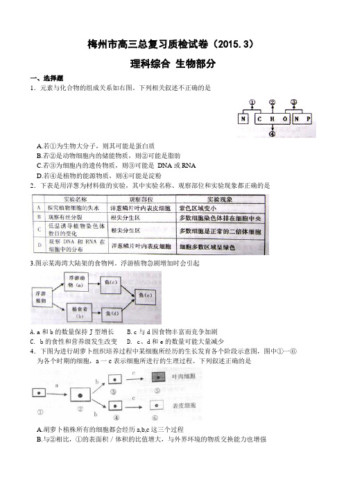 广东省梅州市2015届高三3月总复习质检(一模)生物试题及答案