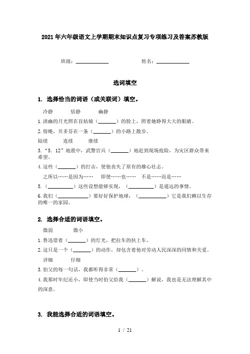2021年六年级语文上学期期末知识点复习专项练习及答案苏教版