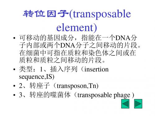 转位因子transposableelement