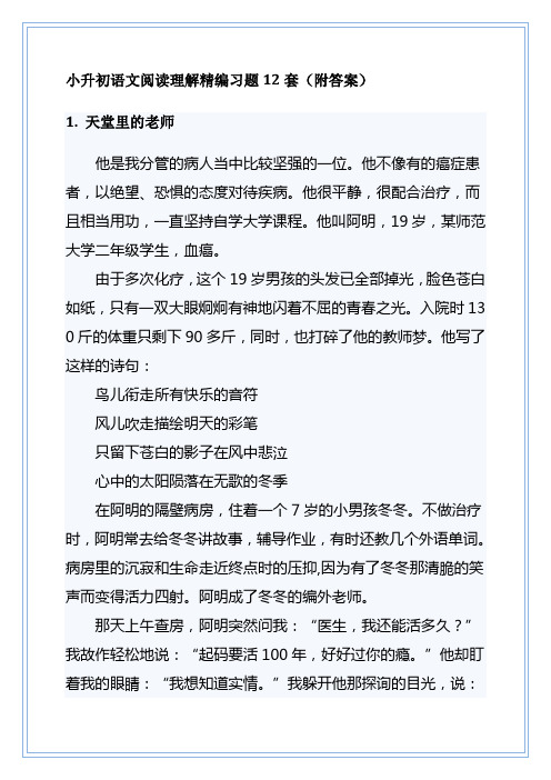 小升初语文阅读理解精编习题12套(附答案)