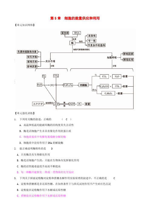 版高中生物一轮复习 第5章 细胞的能量供应和利用精品学案 新人教版必修1