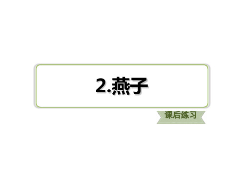 新版三年级下册习题-2.燕子课后练习 人教(部编版) (共19张PPT)