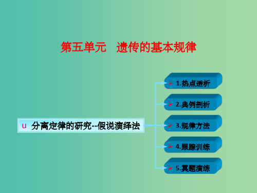 高考生物一轮复习 第五单元 遗传的基本规律 01分离定律的研究-假说演绎法课件 新人教版