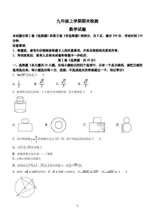 山东省泰安市新泰市2023-2024学年九年级上学期期末数学试题(含答案)