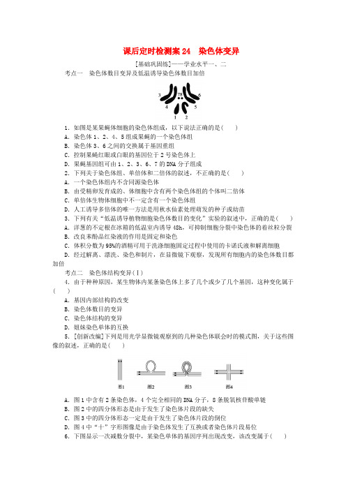 2024版新教材高考生物全程一轮总复习课后定时检测案24染色体变异