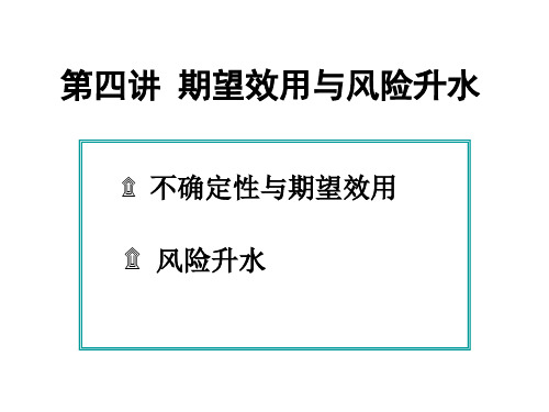 第四讲 期望效用与风险升水