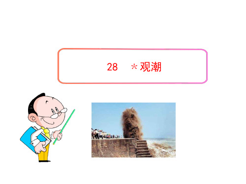 人教版(新课程标准)语文28观潮课件