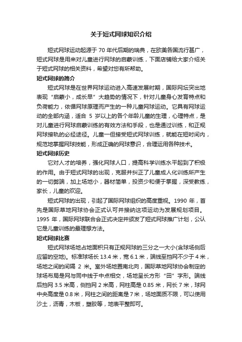 关于短式网球知识介绍