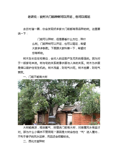 老讲究：农村大门前种树可以开运，也可以背运