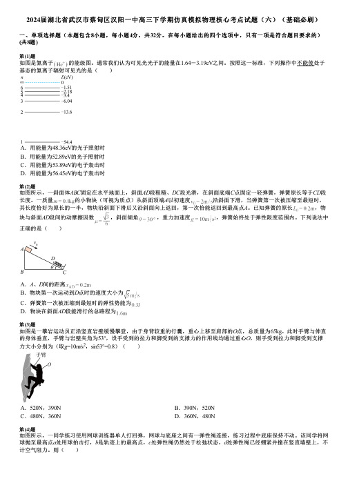 2024届湖北省武汉市蔡甸区汉阳一中高三下学期仿真模拟物理核心考点试题(六)(基础必刷)