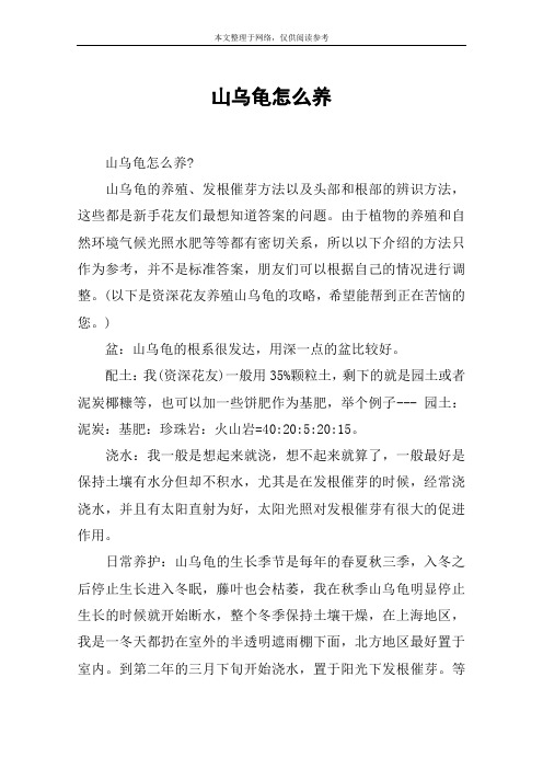 山乌龟怎么养