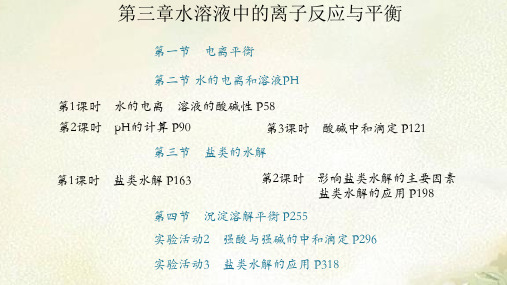 新教材人教版高中化学选择性必修1第三章水溶液中的离子反应与平衡 教学课件(共333页)