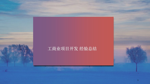 光伏工商业项目精选PPT