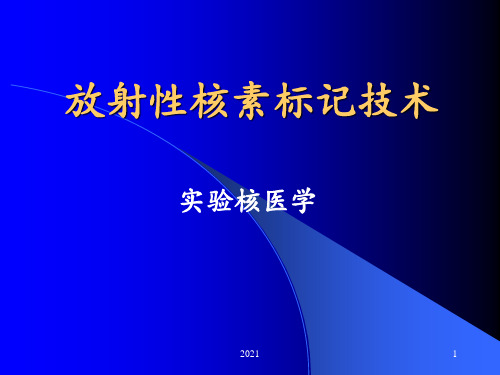 放射性核素标记技术PPT课件