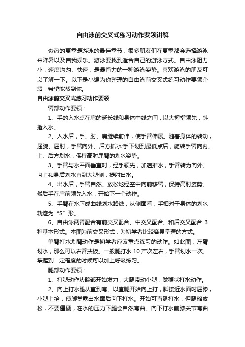 自由泳前交叉式练习动作要领讲解