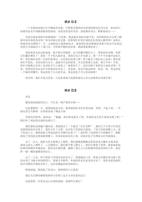 洪水作文